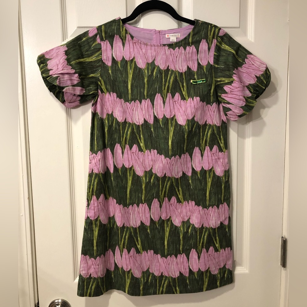 NWOT Crewcuts dress, Size 12